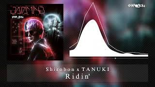 Shirobon x TANUKI - Ridin'