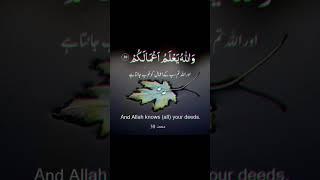 aur allah tum sab ke aemaal || aakib insights #islamicshorts #naatringtone #shortsfeed #virelshorts