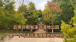 云南弥勒甸溪河湿地公园，这里鸟语花香，是一个隐居的好地方。