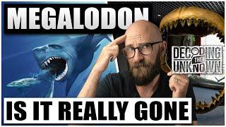 Megalodon: Does it Still Roam the Oceans?