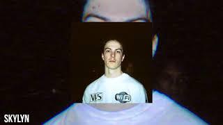 Bones - The Collection