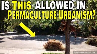 Is this Allowed in Permaculture Urbanism?