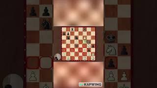 Beautiful 8-MOVE CHECKMATE by DUDA against GIRI