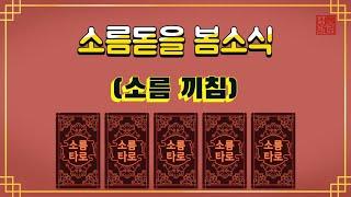 [타로/운세] 소름 돋을 봄소식!!!!!!!!!!!!!!!!!!