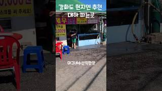 강화도 대하 파는곳#shorts