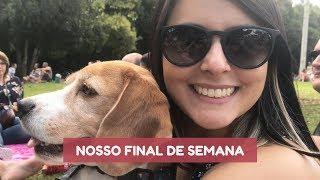 VLOG - Passeio no Parcão, evento Pet Friendly e encontro dos Beagles de Curitiba