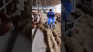 fodder feeding machine । #ytshorts #amazingtricks #ytshortsvideo #shorts #viral