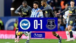 BRIGHTON 0-1 EVERTON | Premier League highlights