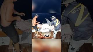 The Half-Eaten Shark Mystery #fishingtips #fish #catchingfish
