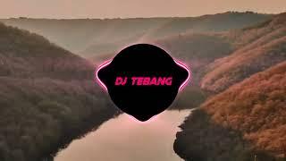 DJ STEREO LOVE KANE X KAMU SELINGKUH LAGI VIRAL TIKTOK 2022DJ TEBANG