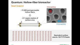 Flexible manufacturing strategies for cell and gene therapy products