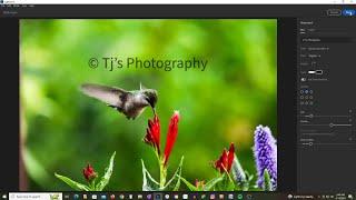 Add A Text Watermark To Adobe Lightroom 7.4.1