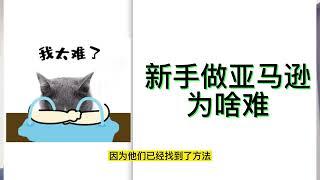 要想赚50万，最少先赔20万,做亚马逊为什么那么难？为什么大多数新手卖家都会失败？