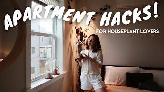 5 APARTMENT HACKS FOR HOUSEPLANT LOVERS | grow lights, humidity hacks, and more!