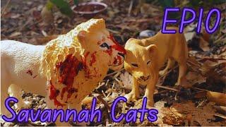 Savannah Cats |EP10| ~Final~ Toy Lion / Leopard / Cheetah Series