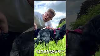 NEW CHANNEL #filmmaking #photography #drone #dogs #AlextheCameraman.