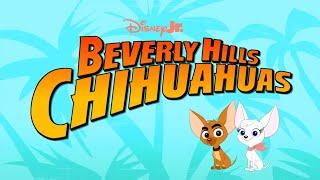 Beverly Hills Chihuahuas - Theme Song | Disney TVA Pilots