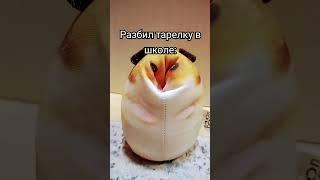 #жиза #блоптоп #реки #капибара #миша #мем #попугай #гусь #блоп #актив#ачтописать