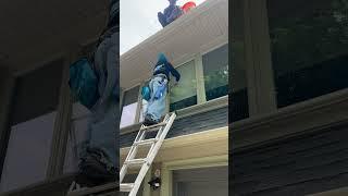 Window Cleaning Markham Ontario By Silverlight Windows and Eaves Cleaning