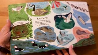 Look Inside Nature - Usborne