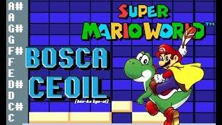 [BOSCA CEOIL] 추억의 게임 음악 - 슈퍼마리오월드, 오버월드 브금 | Super Mario World, Overworld BGM