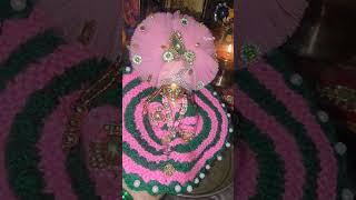 Laddugopal ji winter morning #pujapath #laddugopal
