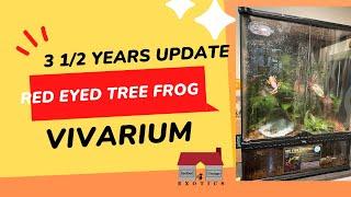 Red Eyed Tree Frog Vivarium (3 1/2 years update)