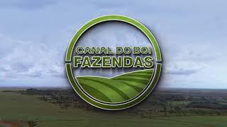 Canal do Boi Fazendas - Fazenda Lambari