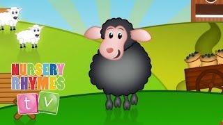 BAA BAA BLACK SHEEP | Classic Nursery Rhymes | English Songs For Kids | Nursery Rhymes TV