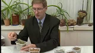 Как составить сбор для похудения. Травник Гордеев М.В.