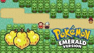 How to get a lot of Sitrus Berry easily in Pokemon Emerald