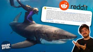 Did Ocean Ramsey REALLY Call Me OUT on Reddit?