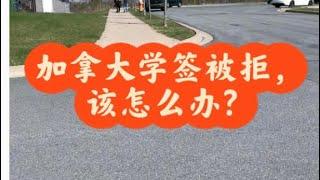 加拿大学签被拒怎么办？持牌移民顾问分享