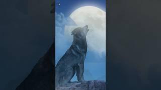 Wolf Sounds | Wolves Howling At Moon