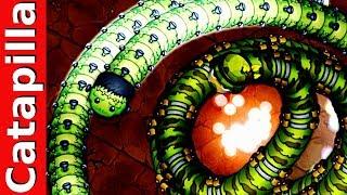 Littlebigsnake.io Tiny Tricky Snake vs Little Big Snake Epic Gameplay