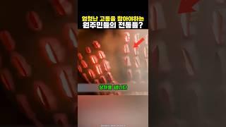 엄청난 고통을 참고 성인이 되는 야생 부족들?