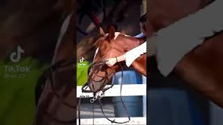 هوايتي  ركوب الخيل عند خالي خيول بس مو مدربات ما اقدر اركبهن 