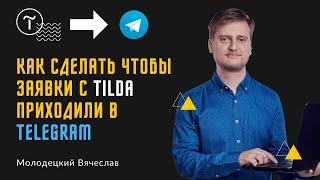 Как сделать чтобы заявки с сайта Tilda приходили в Telegram (в личку либо группу)