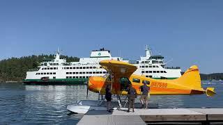 Western Prince Whale Watching + Friday Harbor Seaplane Joint Adventure