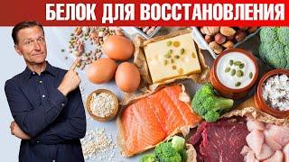 Лучший белок для восстановления организма 