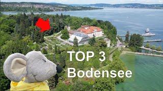 Dr Mausi Tipps Bodensee: Mainau - Birnau - Pfahlbauten