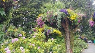 Glacier Gardens Rainforest Adventure, Juneau, Alaska