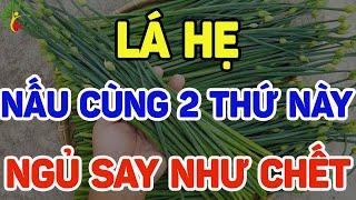 Ăn Lá Hẹ nấu cùng 2 thứ này ngủ say như như ch.ết, gan thận hồi sinh - SKST