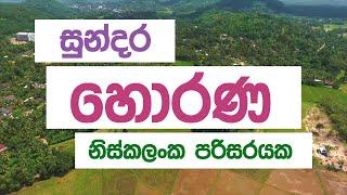 Precious Lands from Horana | Lands with Natural Surrounding | Real Estate Investments in Sri Lanka