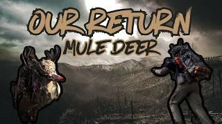 RIFLE MULE DEER HUNT - 2 BUCKS DOWN | "OUR RETURN" 4K FILM 