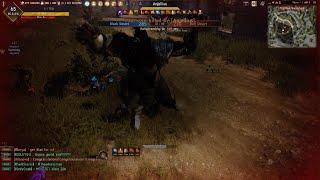 Black Desert Online Red Battlefield