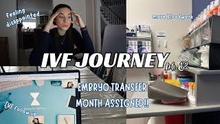 IVF JOURNEY pt 12| IVF follow up, updating bloodwork, doing a May Transfer, feeling frustrated..