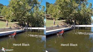 Hero5 Black vs Hero4 Black Quality / Sharpness Comparison - GoPro Tip #545 | MicBergsma