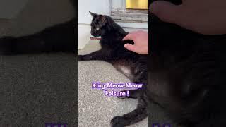 King Meow Meow Said… #cat #love #funny y