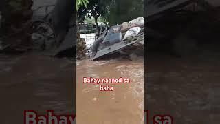 Bahay naanod sa dambuhalang baha #buhaybukid mga baboy muntik ng hindi maisalba